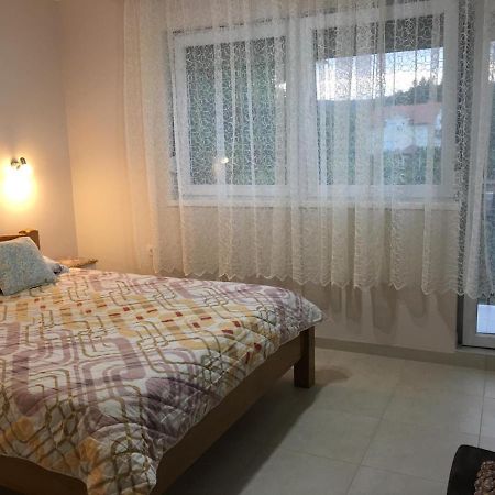 Apartment Vistanova Vrdnik Buitenkant foto
