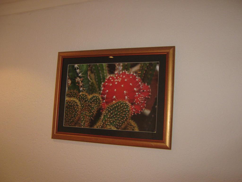 Apartment Vistanova Vrdnik Kamer foto
