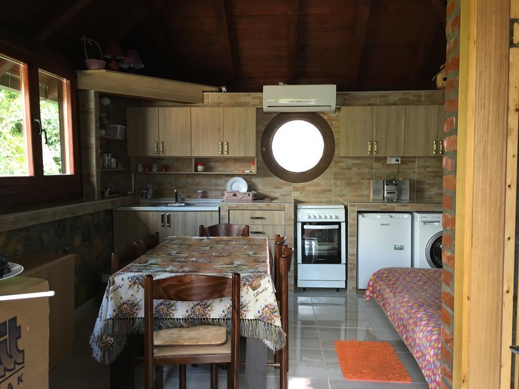 Apartment Vistanova Vrdnik Buitenkant foto
