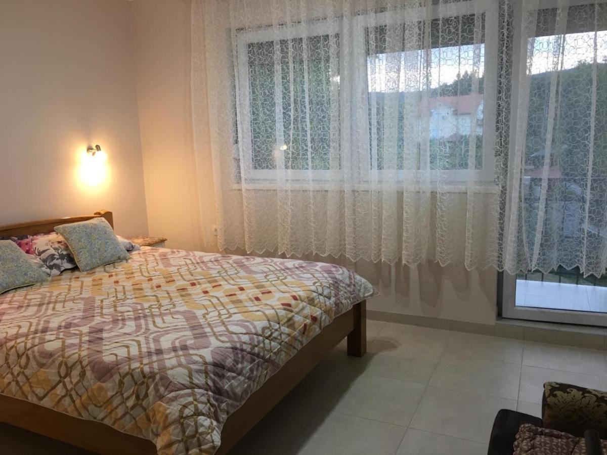 Apartment Vistanova Vrdnik Buitenkant foto